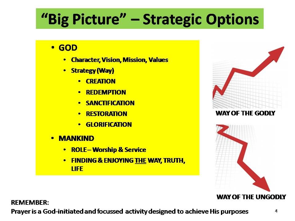 Mankinds Strategic Options